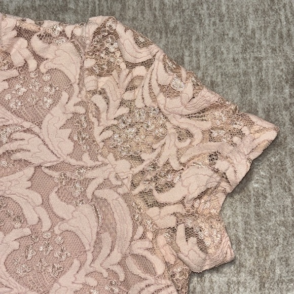 XXL 2X Plus lace top blush pink lined banded bottom short sleeve Worthington - Picture 3 of 5